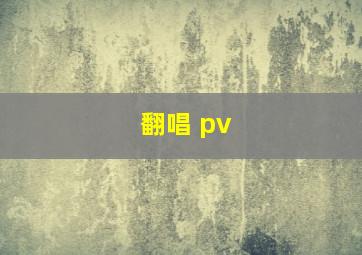 翻唱 pv